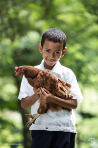 Samaritans Purse Boy with Chicken